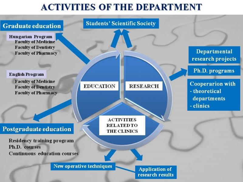 Activities of the Department